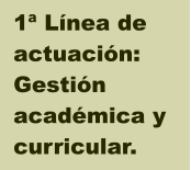 1 Lnea de  actuacin:  Gestin acadmica y  curricular.